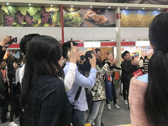 互動游戲,大屏互動游戲,手機互動游戲,小游戲定制,互動游戲開發(fā)